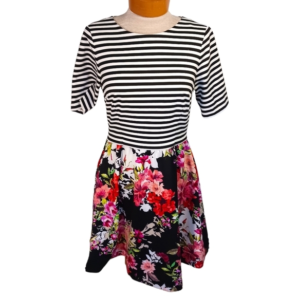 Size 8 Medium Eliza J Striped Floral Womens Dress Red Black White - Picture 1 of 12